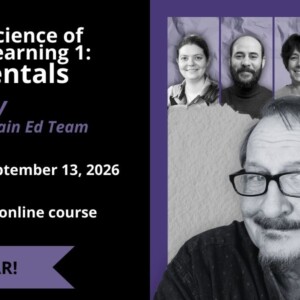 The Neuroscience of Language Learning 1 – Fundamentals