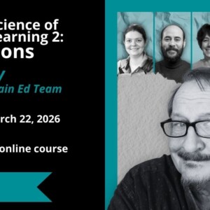 The Neuroscience of Language Learning 2 – Explorations