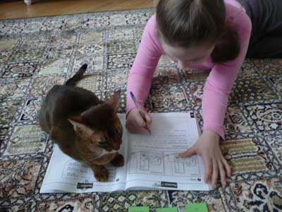 Young student working on English with a cat companion
